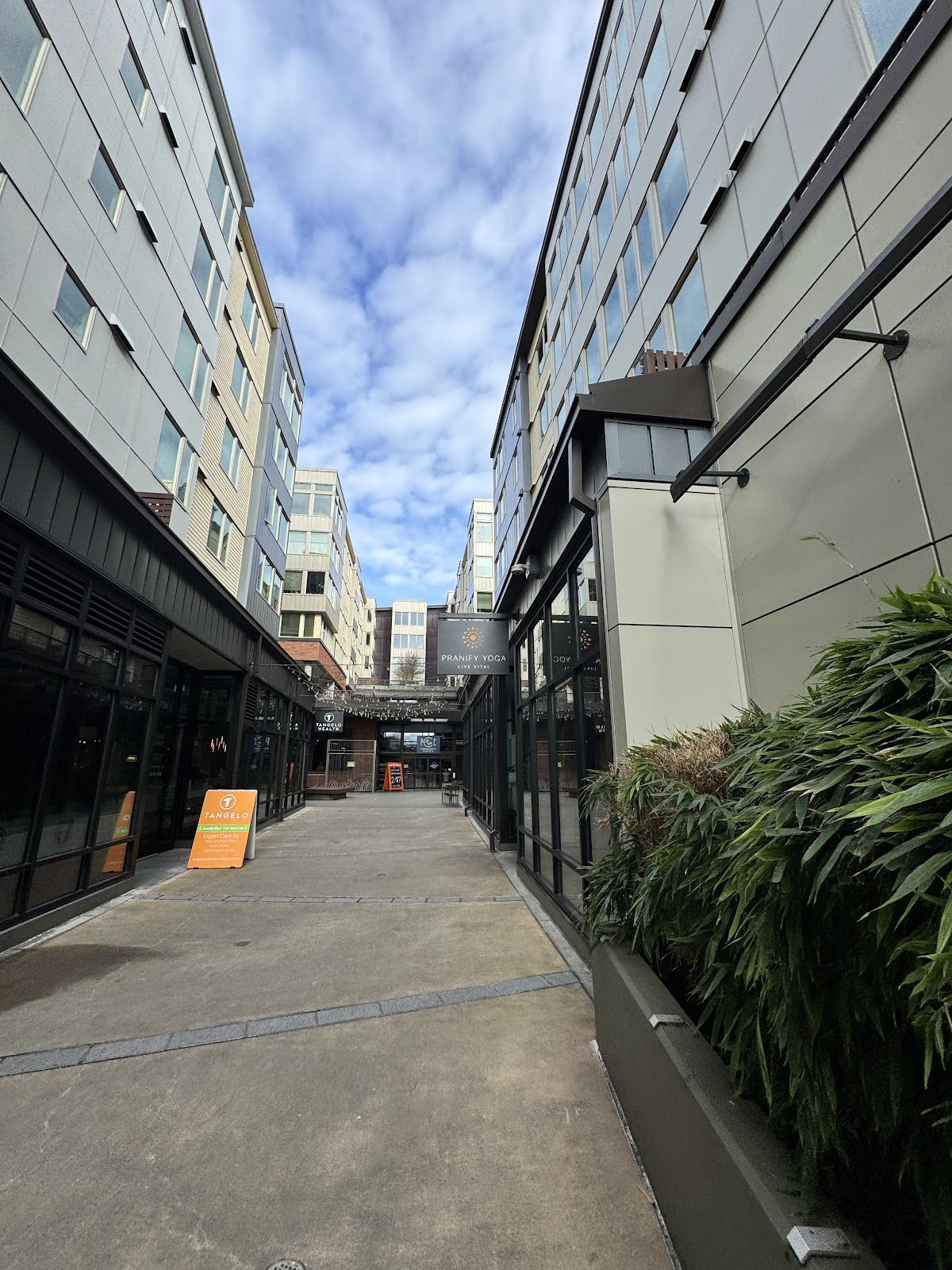 Pranify Yoga Seattle