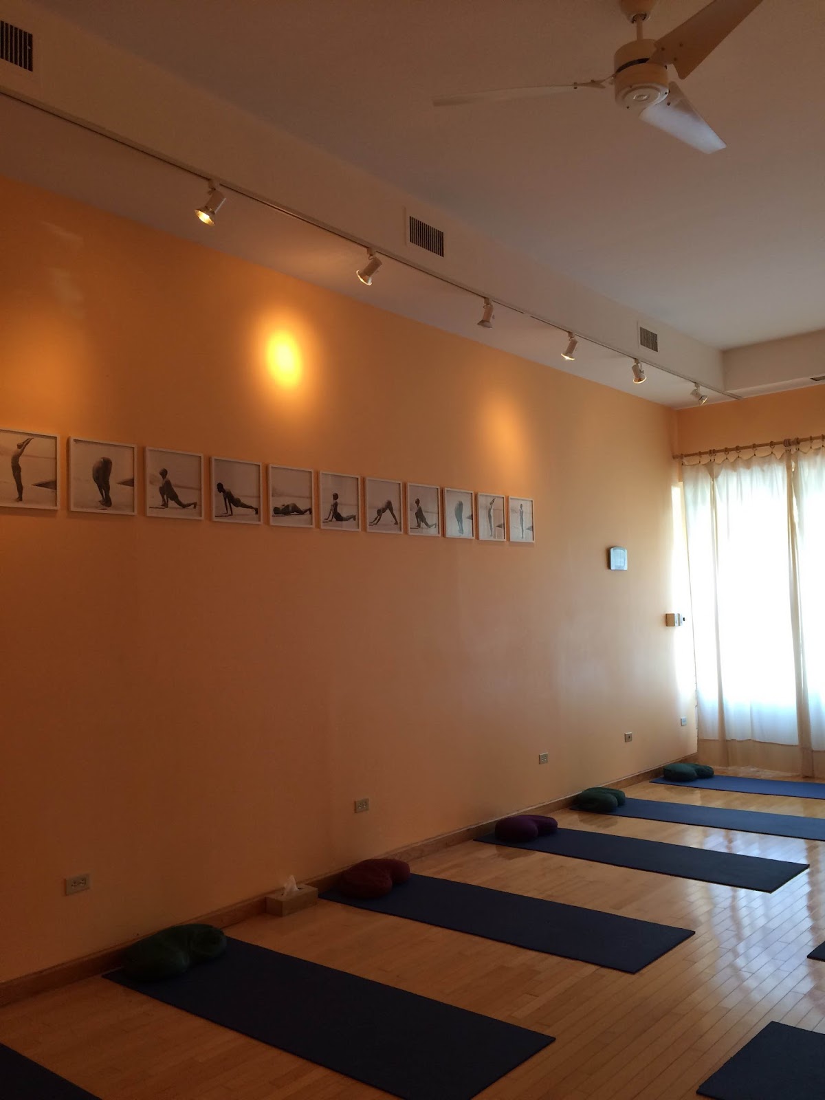 Sivananda Yoga Vedanta Center