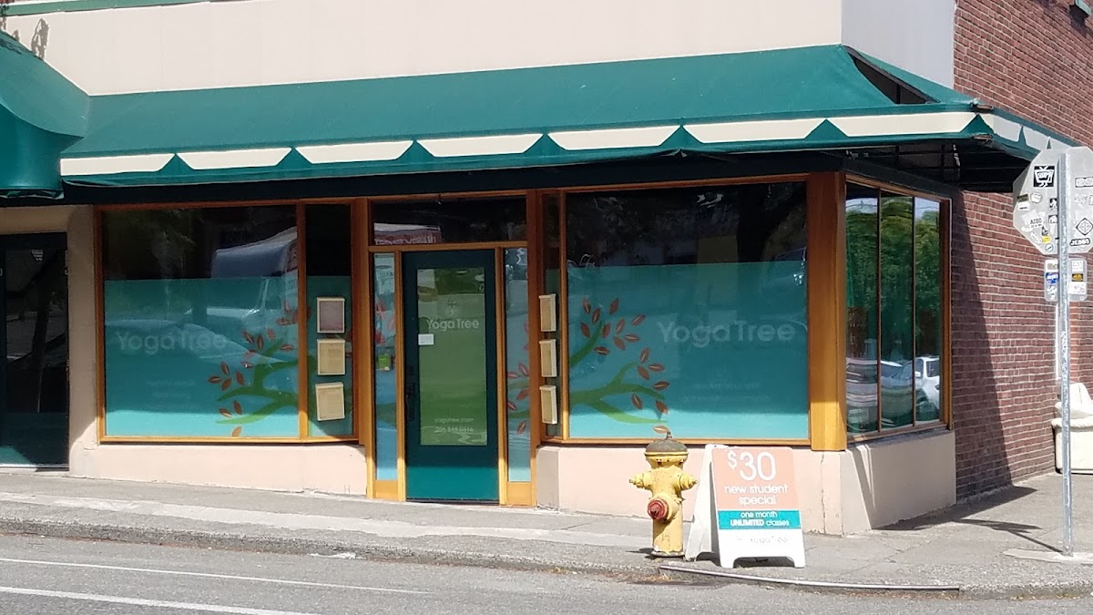 The Yoga Tree