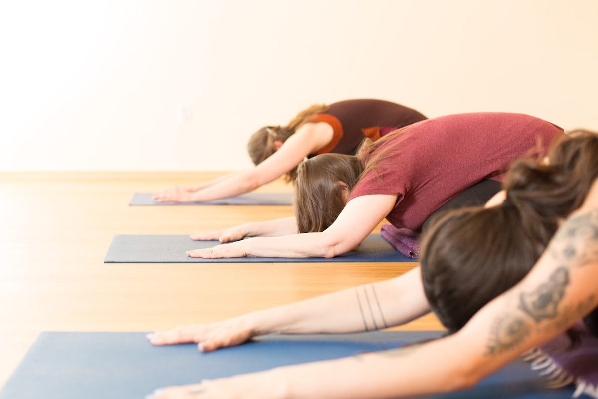 Whole Life Yoga Studio
